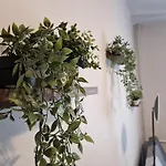 Apartament Mickiewicza Multi House